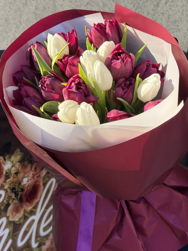 Buchet de lalele roșii și albe ambalat elegant în hârtie burgundy, cu fundă decorativă